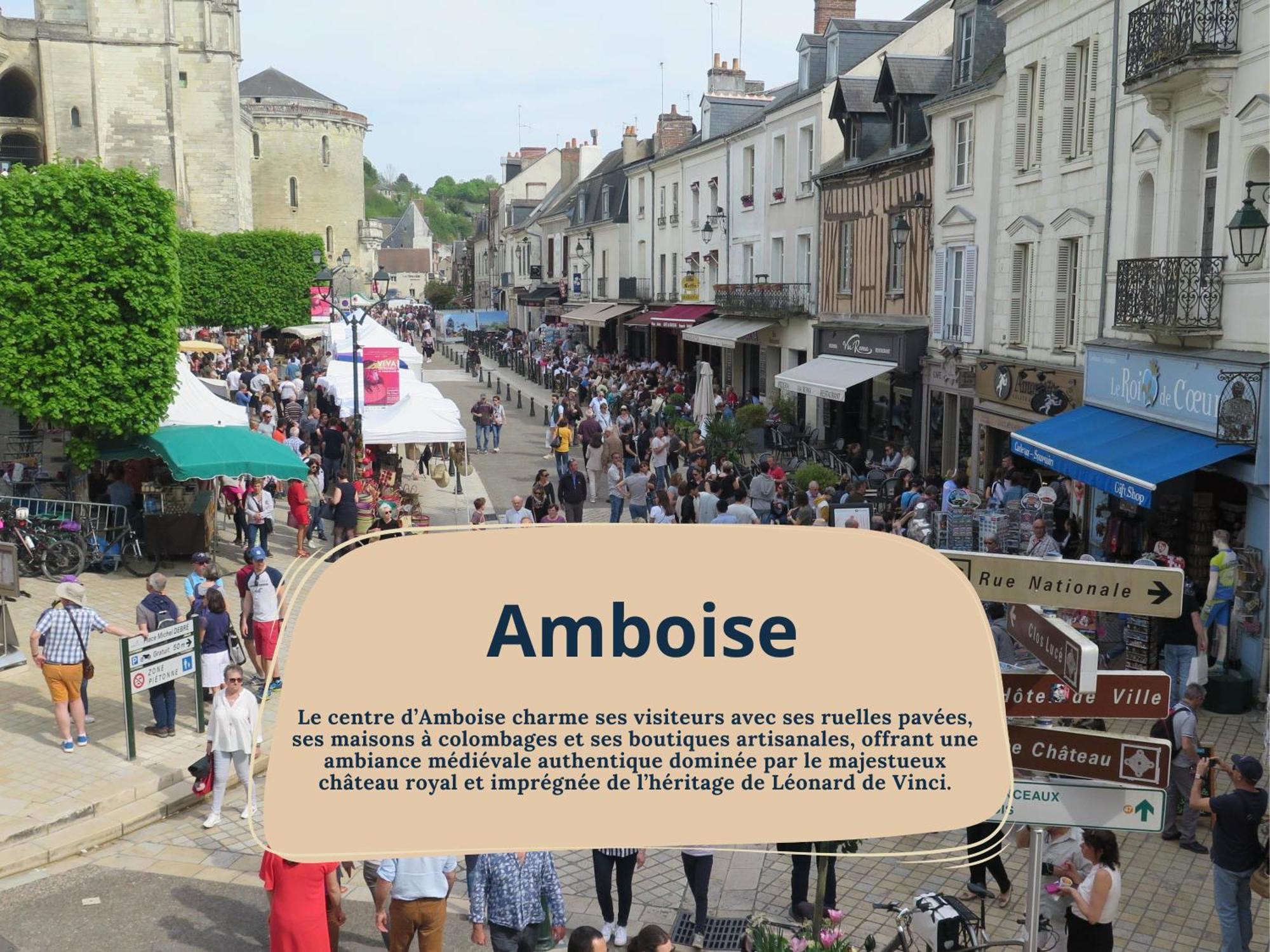 Gite Rabelais - A 5Min Du Chateau D'Amboise Kültér fotó